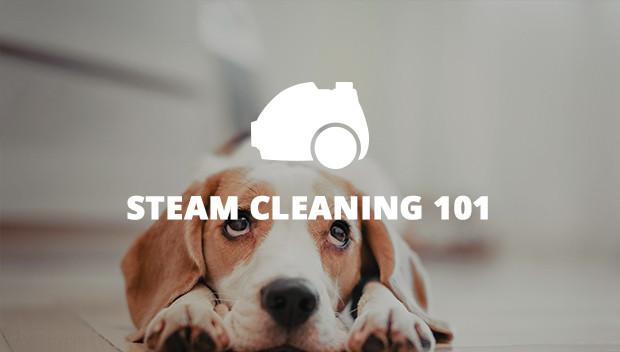 Steam Cleaning 101